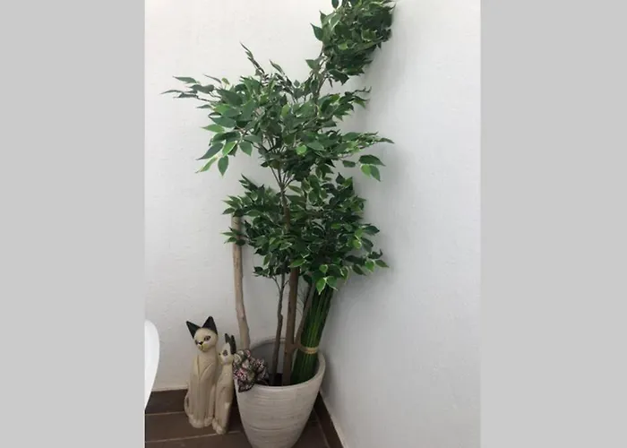 Graca 4 شقة Lisboa